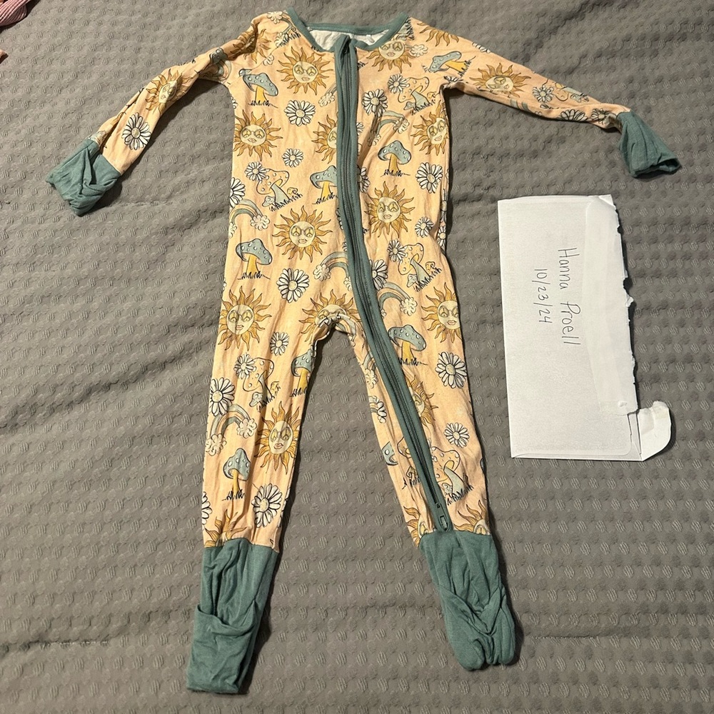 Bamboo Zippy